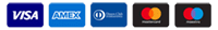 Plaćanje karticama: Visa, Amex, Maestro, MasterCard, Diners